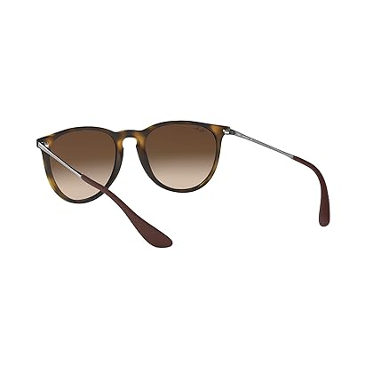 Ray-Ban Rb4171 Erika Round Sunglasses