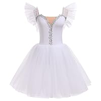 Ballet Leotards for Women Ballerina Performance Swan Lake Costumes Embroidery Tulle Camisole Skirted Leotard Dancewear