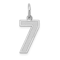 14k Gold Medium Satin Sport game Number Charm Pendant Necklace Jewelry for Women in Yellow Gold White Gold Choice of Numbers and Variety of Options