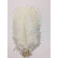 50Pcs White Feathers with 8~10 in,Beautiful Long Feather for  Crafts（21-25CM）,Big Size Bilateral Natural Goose Feather,for Wedding Dress  and Party