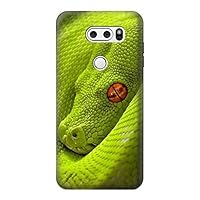 R0785 Green Snake Case Cover for LG V30, LG V30 Plus, LG V30S ThinQ, LG V35, LG V35 ThinQ