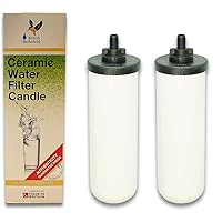 British Berkefeld Doulton W9120133 Ultra Fluoride Ceramic Drinking Water Filter Candle Cartridge