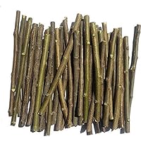 RNB Store 100 Pc Natural Neem Chew Sticks Datun Ayurvedic Organic Toothbrush for Brushing Teeth, Remove Bad Breath & Germs, Relieve Tooth Ache