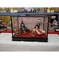 Hina Doll Hikarazakura Imperial Prince Oboko Case Music Box Iwatsuki Doll Cooperative Association
