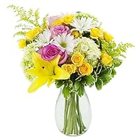 KaBloom PRIME NEXT DAY DELIVERY - Mother’s Day Collection - Bountiful Beauty Bouquet of Fresh White Daisies with Vase Gift for Anniversary, Get Well, Thank You, Valentine, Mother’s Day Flowers