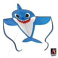 Large, Easy to Fly Kites for The Beach, Backyard, Park!