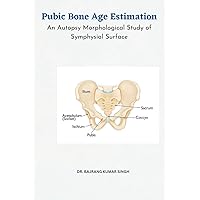 Pubic Bone Age Estimation An Autopsy Morphological Study of Symphysial Surface