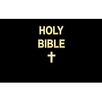 Holy Bible, New American Standard Bible: Standard Bible Holy Bible, New American Standard Bible: Standard Bible Kindle Paperback Imitation Leather Audio CD
