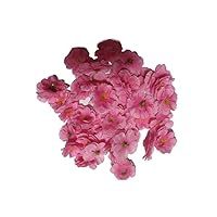 Artificial Silk Cherry Blossom Flowers Heads, 50PCS Artificial Cherry Blossom Flower, Cherry Blossom Fake Silk for Bridal Hair Clips Headbands Dress DIY Accessories Wedding Party(Pink)