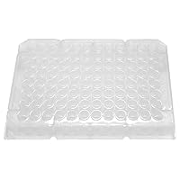 Evergreen 290-8355-03V 96-Well Non-sterile Conical (V) Bottom Plates No Lid, 100 Pack, Natural, Polypropylene, Well Volume 0.30 mL, Cell Cultures, Assays, PCR, Sample Storage, Research