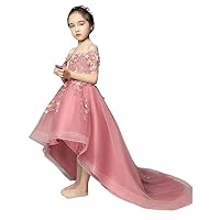 Off The Shoulder Hi Low Flower Girl Dress for Wedding Party Birthday with Sleeves 3D Floral Lace up Dusty Rose 13
