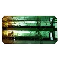 21.36 ct Octagon (23 x 11 mm) Unheated/Untreated Mozambique Bi-Color Tourmaline Loose Gemstone