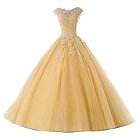 Ball Gown Quinceanera Dresses Tulle Long Prom Party Gowns Sweet 16 Formal Dress Gold US 22W