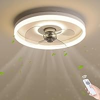 XinZe Quiet Ceiling Fan with Lighting 45 W LED Dimmable Bedroom Fan Ceiling Light Modern Minimalist Design Fan Ceiling Lamp Acrylic Lampshade Living Room Ceiling Light 40 cm