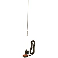 Tram WSP1198 Glass Mount CB with Weather-Band Mobile Antenna