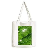 Green Condensation Fresh Pattern Tote Canvas Bag Shopping Satchel Casual Handbag