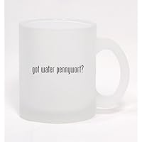 got water pennywort? - Frosted Glass Coffee Mug 10oz