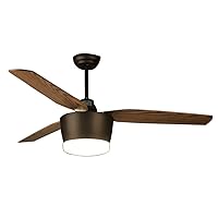Ceiling Fans with Lamps,Retro Industrial Fan Light European Simple Antique Leaf Fan Chandelier for Living Room Dining Room Bedroom/Remote Control