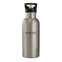 got berrying? - 20oz Stainless Steel Water Bottle, Silver