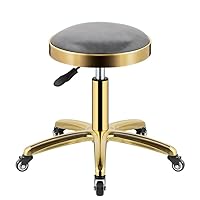 Stools,Rolling Stool Chair Beauty Stool with Back Rest, Comfortable Swivel Stool on Wheels, Heavy Duty Metal Stool with Rod for Salon, Massage, Clinic, Bar, Office/C