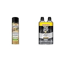 Carpenter Bee and Ground Nesting Yellow Jacket Foaming Aerosol for Insects, 16-Ounce & Hot Shot Wasp & Hornet Killer Spray (2 Pack), 17.5 fl Ounce
