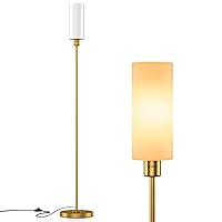 Floor Lamp, Gold Floor Lamp for Living Room, Modern Standing Lamp with Glass Lamp Shade, Vintage 68
