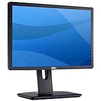 Dell Professional P1913 19-Inch PLHD Widescreen Monitor
