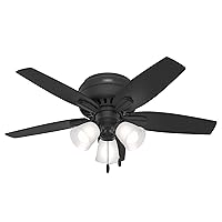 Hunter Fan Company 52393 Newsome Ceiling Fan, Matte Black