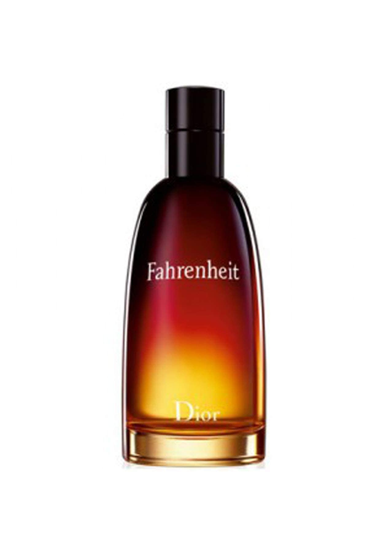 Christian Dior Fahrenheit EDT for men 100ml  PhilRegalo Ent   PhilRegalocom since 2005