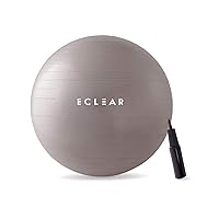 Elecom HCF-BB65GY Balance Ball, 25.6 inches (65 cm), Fitness, Includes Air Pump, Gray