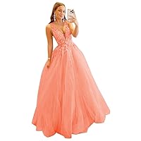 Rjer Women's Lace Tulle Prom Dresses V Neck Ball Gowns Long A Line Formal Evening Gowns