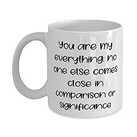Useful Wife, You are my everything; no one else comes close in comparison or significance, Wife 11oz 15oz Mug From Husband