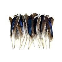 1 Pack - Iridescent Blue Mix Mallard Duck Wing Feathers 0.15 Oz. Halloween Craft Supply | Moonlight Feather