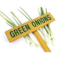 GREEN ONIONS, Garden marker, Vegetable signs, Cedar wood, Painted sign, Custom Garden Sign, Personalized Garden Marker, Outdoor Sign