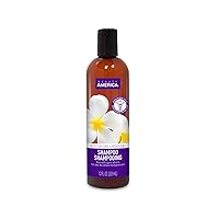 Moisturizing Shampoo, 12 Fluid Ounce