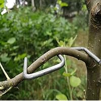 The Fruit Branch Spreader Forms Stronger Branches on Cherries and Other Fruit Trees to Support The Growth of New Branches, Branch Support (24 per Pack) (S-3.9(inch))