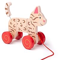Bigjigs Toys Pull Along (Cat)