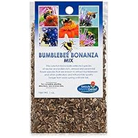 Bumblebee Bonanza Wildflower Seeds - 1oz, Open-Pollinated Wildflower Seed Packets, Non-GMO, No Fillers, Annual and Perennial Seeds for Bumblebees 1oz