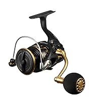 Shimano Twin Power Spinning Reel 21, Fishing Reel, All Variations of SW,  Salt Game
