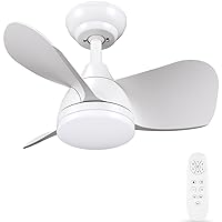 Newday Ceiling Fans with Lights, 22 inch Small Ceiling Fan with Light and Remote Control, Quiet Reversible DC Motor, 3CCT LED Light, Dimmable, White Ceiling Fan for Bedroom Kitchen Indoor Use