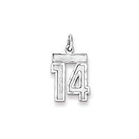 925 Sterling Silver Small Sport game Number Charm Pendant Necklace Jewelry for Women in Silver Choice of Numbers and Variety of Options