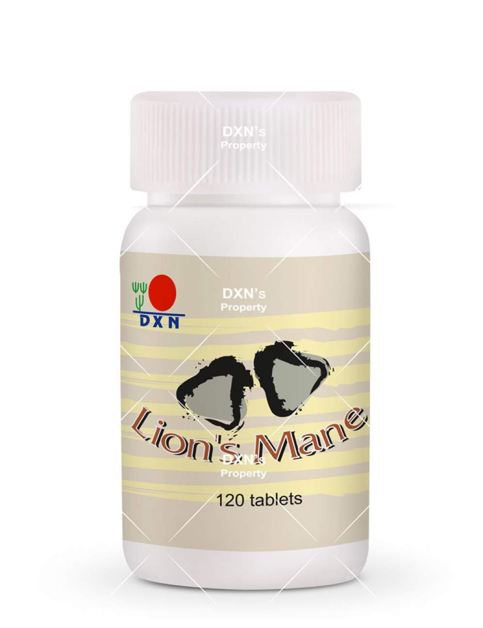 LIMITEDBONUSDEAL DXN Lion's Mane 120 Tabs (12 Bottle)