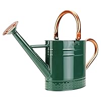1 Gallon Metal Watering Can with Removable Spout, Nice Galvanized Steel Water Can with Embossed Design for Indoor and Outdoor Plants