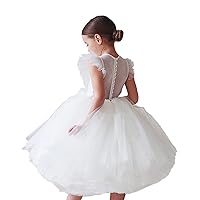 Nileafes Flower Girl Dress Princess Fairy Dresses for Girls