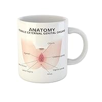 Coffee Mug Vulva the Structure of Female External Genitalia Medical Anatomy 11 Oz Ceramic Tea Cup Mugs Best Gift Or Souvenir For Family Friends Coworkers