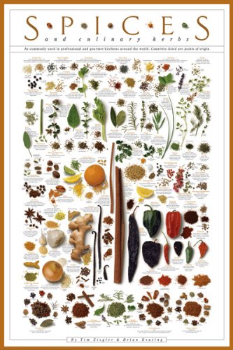 American Image Poster 24x36 Paper Spices and Culinary Herbs