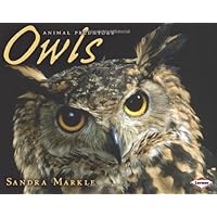 Owls (Animal Predators) Owls (Animal Predators) Library Binding Paperback