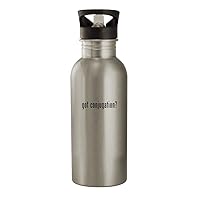 got conjugation? - 20oz Stainless Steel Water Bottle, Silver