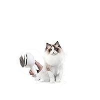 Spray Cat Brush for Shedding,Pet Grooming Brush/Self-Cleaning Wet Cat Comb with USB Rechargeable & Water Tank,Suitable for Dogs,Cats to Reduces Flying Hair,Remove Tangled & Loose Hair(White)