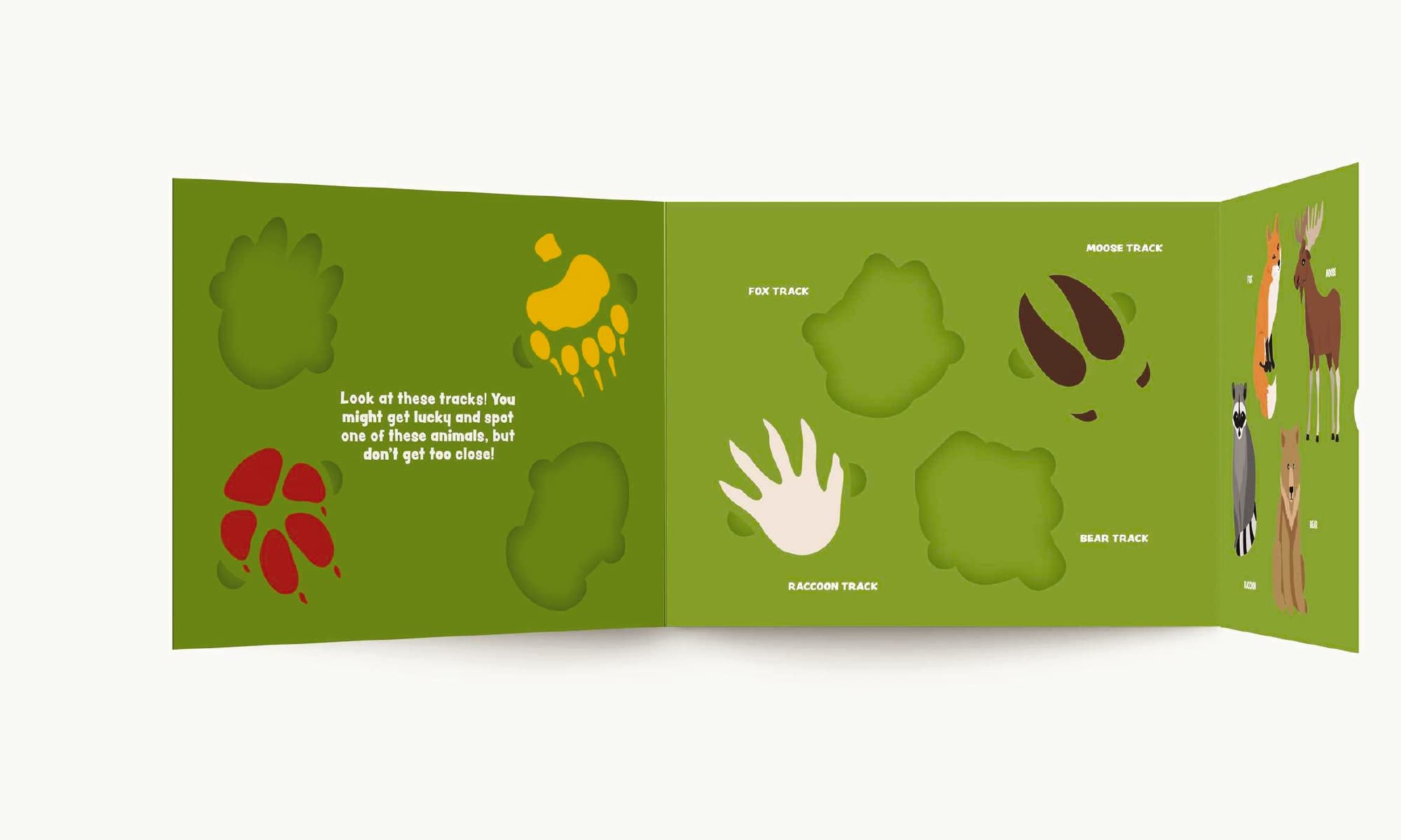 My First Campout: Get Ready for the Great Outdoors with this Interactive Board Book!